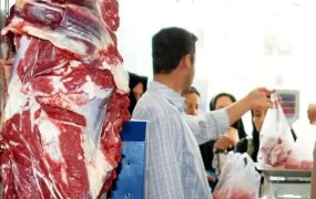 قیمت گوشت