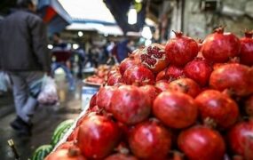 میوه شب یلدا