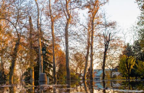 پاییز در کاخ‌های سعدآباد و نیاوران