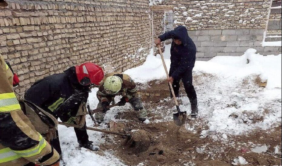 کشف جسد باغ وحشت