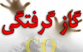 گازگرفتگی تالار عروسی