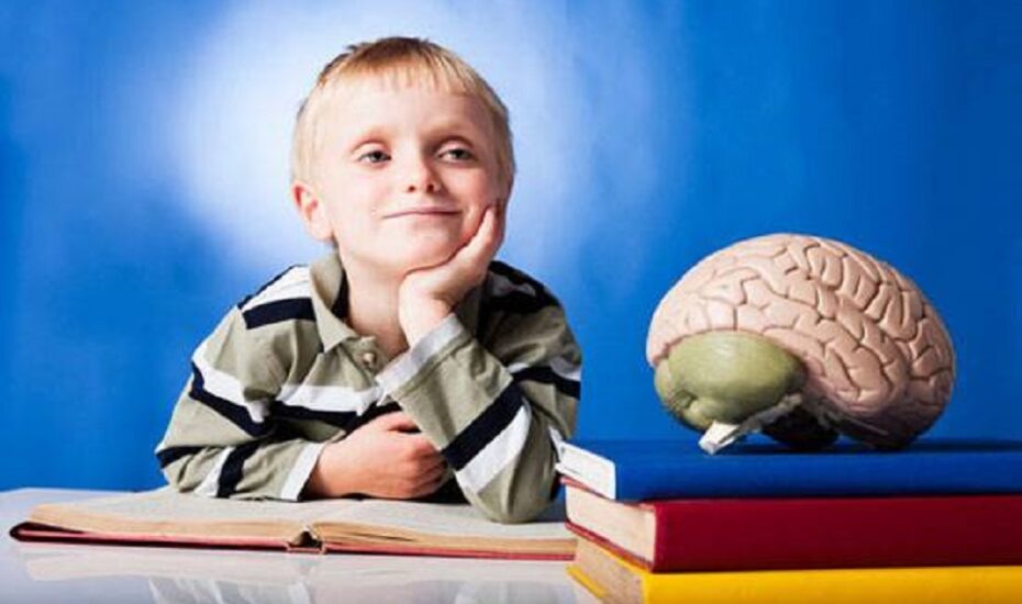 ۷ ماده غذایی فرزندانی باهوش