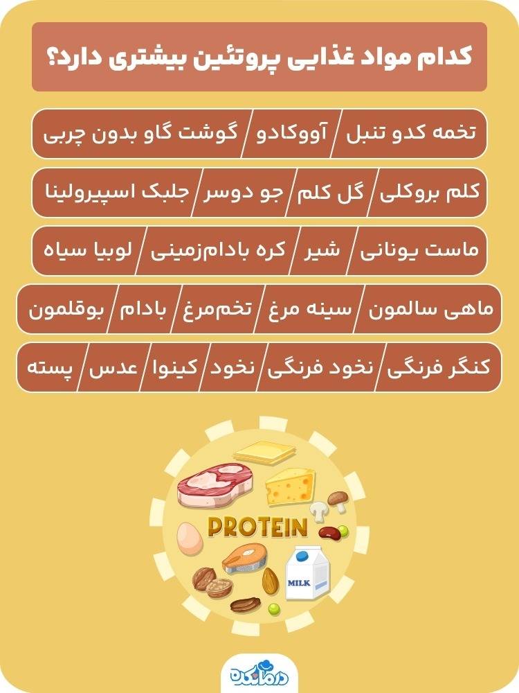  پروتئین  ساخت عضلات کاهش وزن