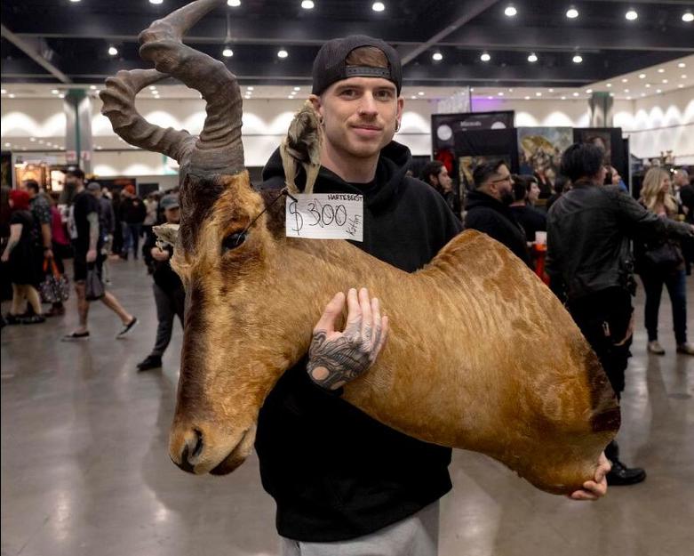 برگزاری نخستین "نمایشگاه عجیب و غریب و کنجکاوی"