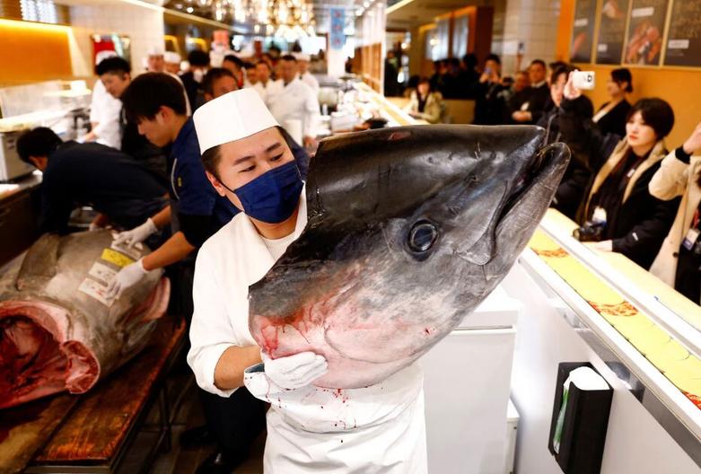 یک ماهی تن 276 کیلوگرمی 