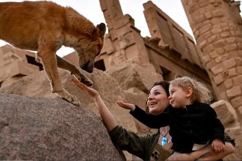 یک گردشگر در معبد باستانی کارناک