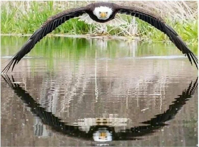 ۲۲ عکس جذاب بدون توضیح