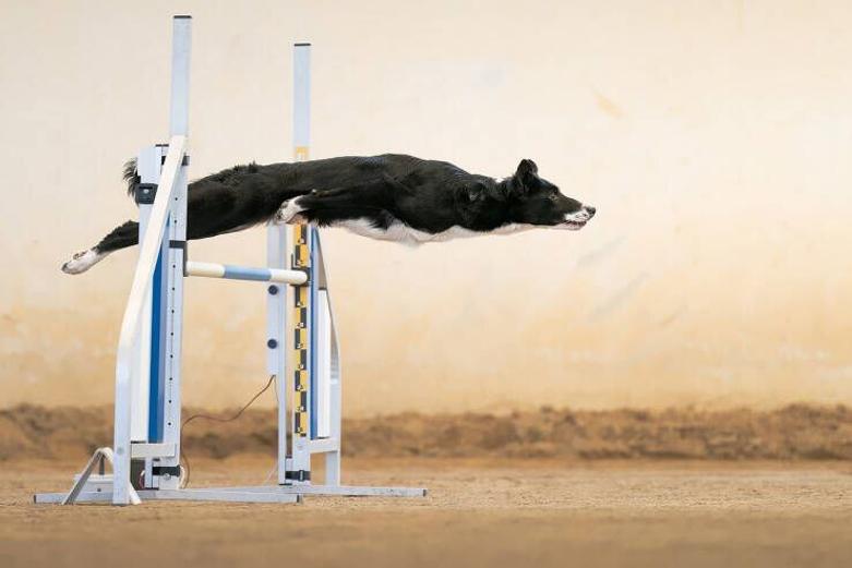 ۲۲ عکس جذاب بدون توضیح