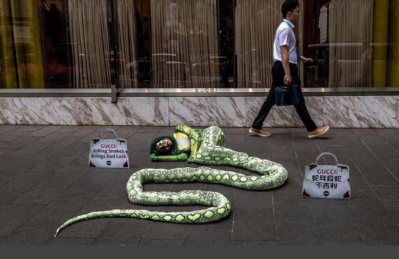 دیدنی های امروز؛ از مهمانی ترامپ تا وضع جدید پناهجویان عازم آمریکا یک فعال حقوق حیوانات