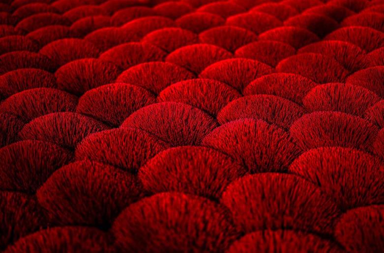 چوب های عود