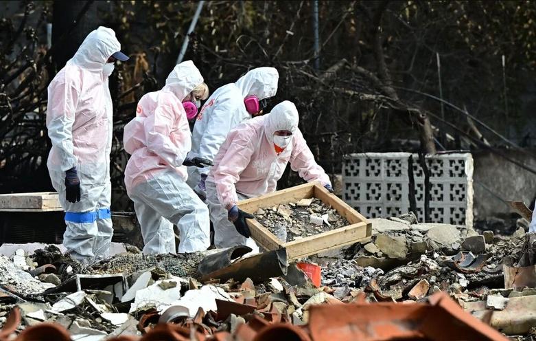 جستجوی آوارهای خانه های