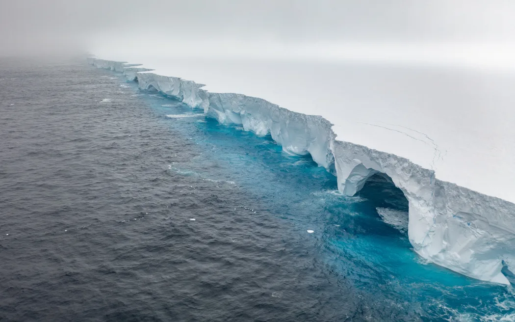 غول یک تریلیون تنی در راه جزیره پنگوئنها؛ بزرگترین کوه یخی سرگردان چه بلایی بر سر حیات وحش میآورد؟ بزرگترین کوه یخی جهان
