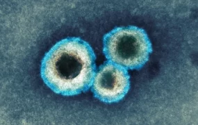 ویروس متاپنوموویروس انسانی (HMPV)