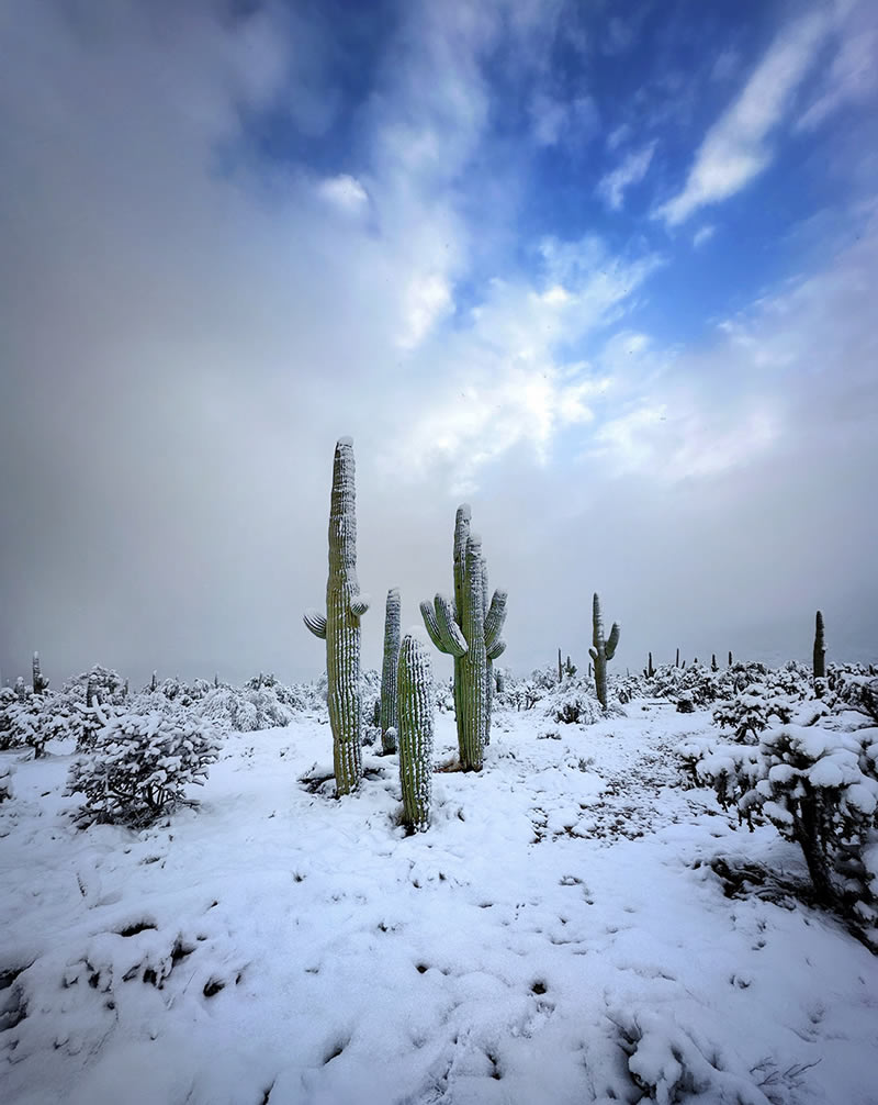 وقتی یک موبایل مانند دوربین حرفهای لحظاتی خیرهکننده ثبت می کند عکاسی با موبایل