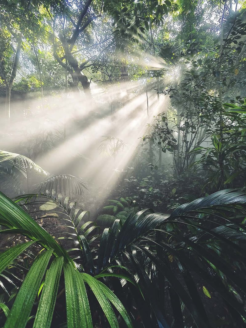 وقتی یک موبایل مانند دوربین حرفهای لحظاتی خیرهکننده ثبت می کند عکاسی با موبایل