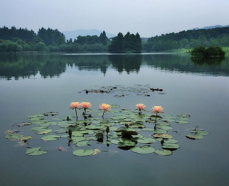 وقتی یک موبایل مانند دوربین حرفهای لحظاتی خیرهکننده ثبت می کند عکاسی با موبایل