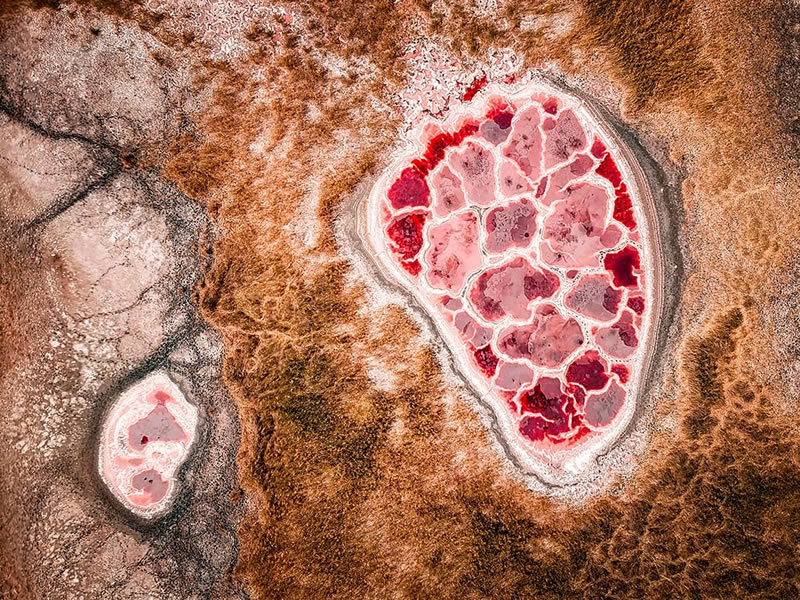 وقتی یک موبایل مانند دوربین حرفهای لحظاتی خیرهکننده ثبت می کند عکاسی با موبایل