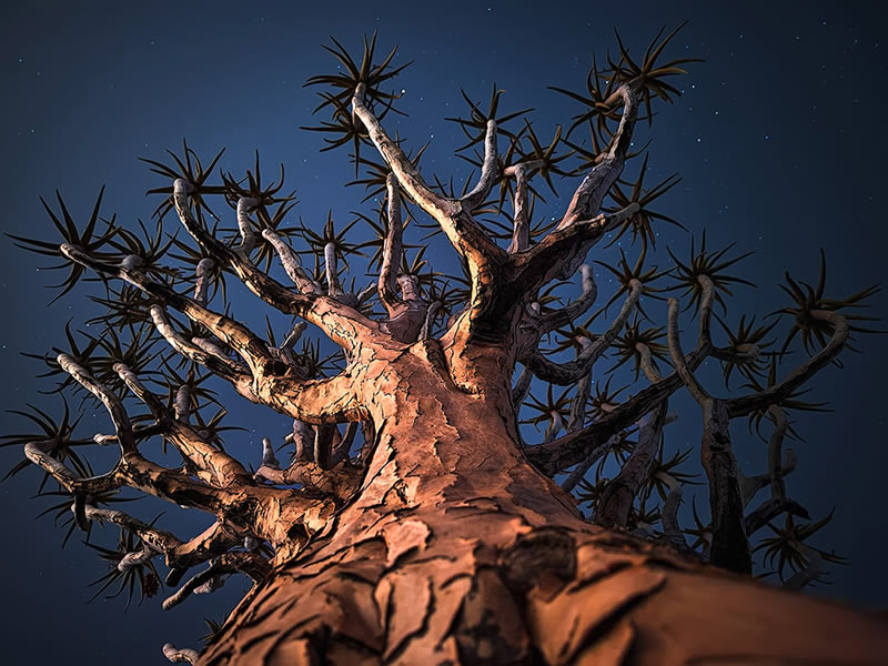 وقتی یک موبایل مانند دوربین حرفهای لحظاتی خیرهکننده ثبت می کند عکاسی با موبایل