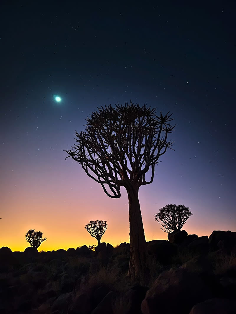 وقتی یک موبایل مانند دوربین حرفهای لحظاتی خیرهکننده ثبت می کند عکاسی با موبایل