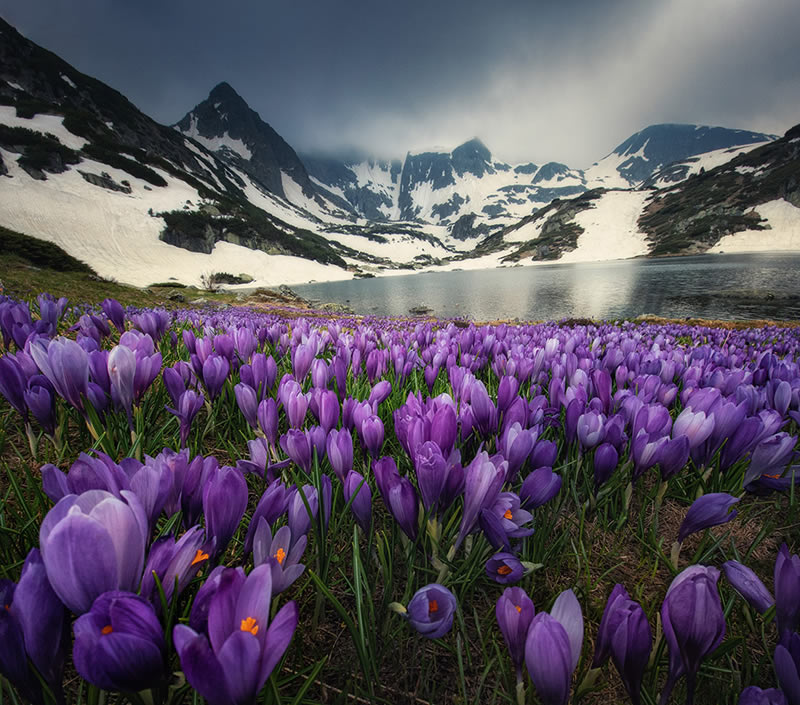 وقتی یک موبایل مانند دوربین حرفهای لحظاتی خیرهکننده ثبت می کند عکاسی با موبایل