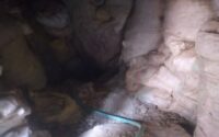 جنازه کاوشگر اشیا عتیقه