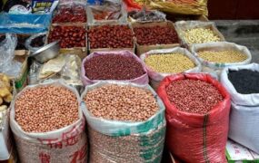 حبوبات