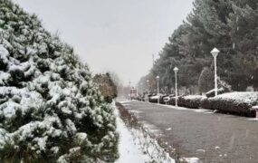 خداحافظی با سرما