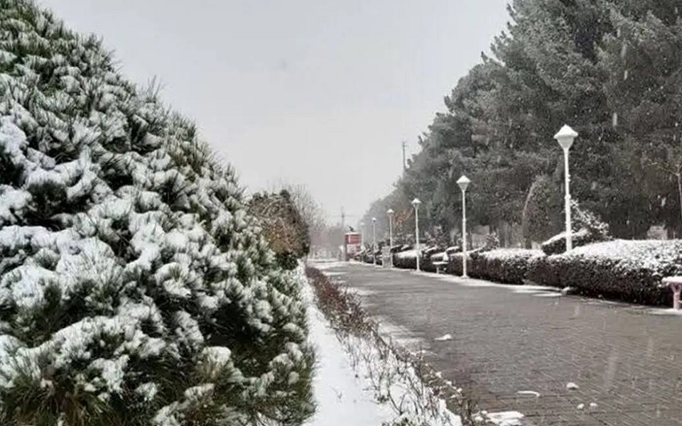 خداحافظی با سرما