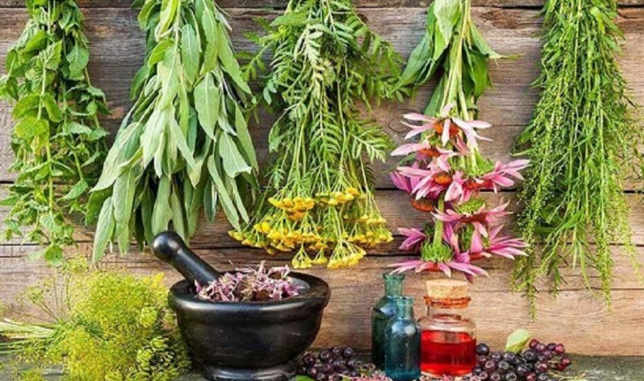 درمان بیماری‌های دهان با استفاده از طبیعت