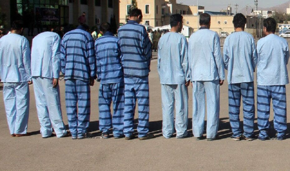 سرقت از باغ توسط باند ۹ نفره