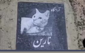 قبرستان حیواتات