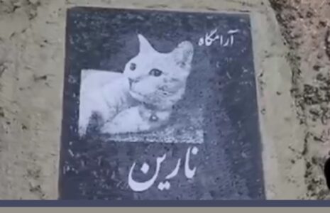 قبرستان حیواتات