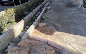 قطع درختان سالم خیابان ایتالیا