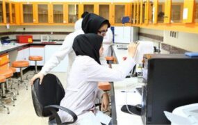 لغو بورسیه