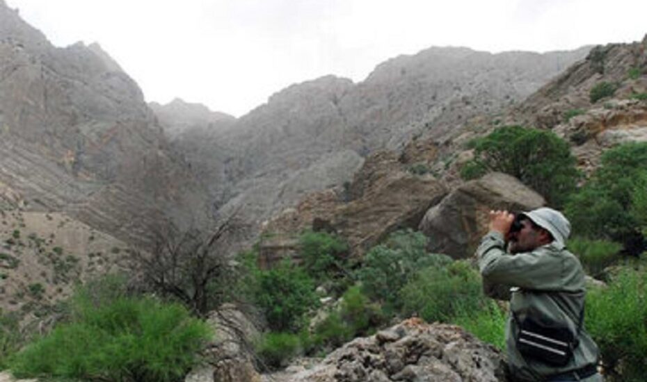 مرگ محیط‌بان