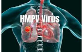 ویروس+HMPV+_