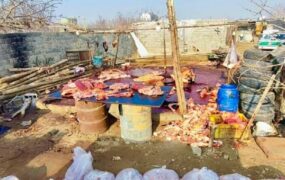 کشف کشتارگاه اسب و الاغ در اسلامشهر