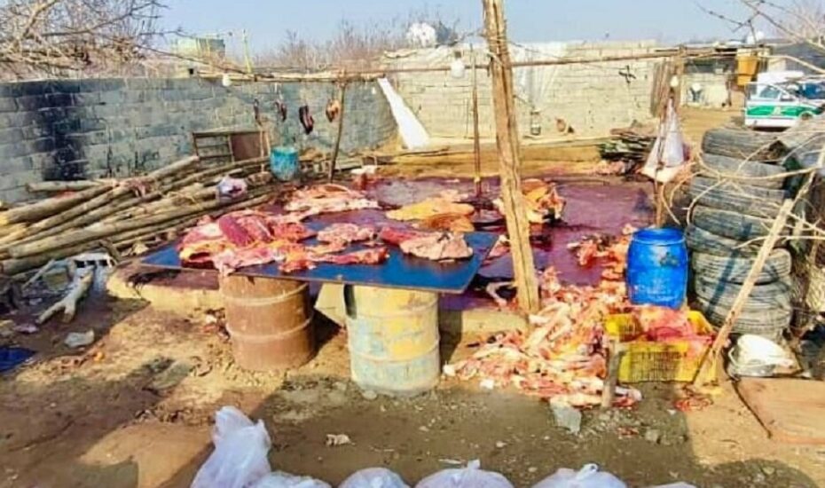 کشف کشتارگاه اسب و الاغ در اسلامشهر
