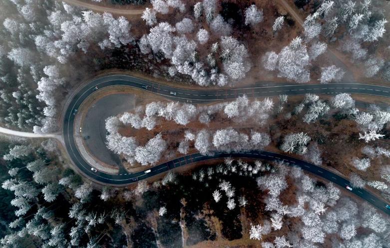 جاده ای جنگلی در منطقه "تاونوس"