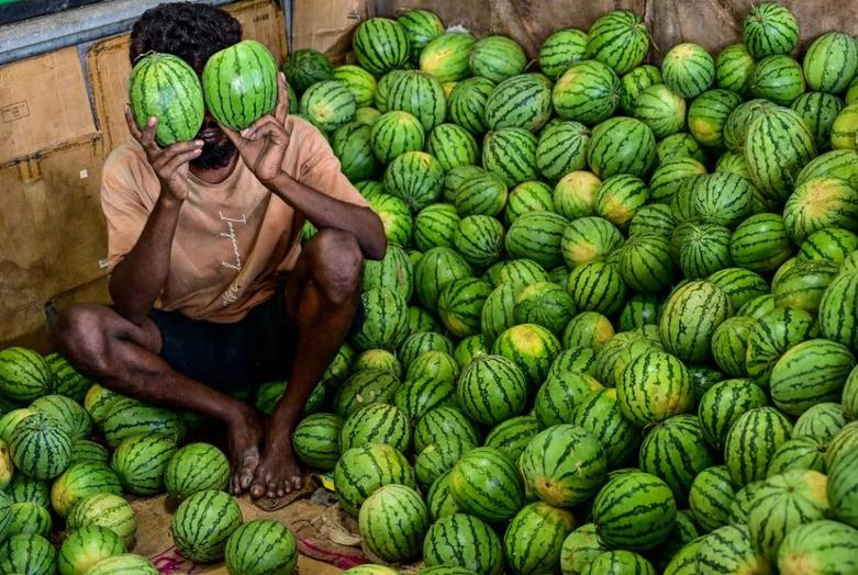 بازار میوه شهر کلمبو