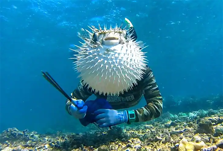 لحظاتی که به لطف عکاسی، برای همیشه ثبت می‌شوند