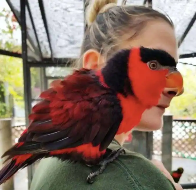 لحظاتی که به لطف عکاسی، برای همیشه ثبت می‌شوند