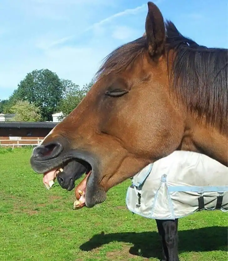 لحظاتی که به لطف عکاسی، برای همیشه ثبت می‌شوند