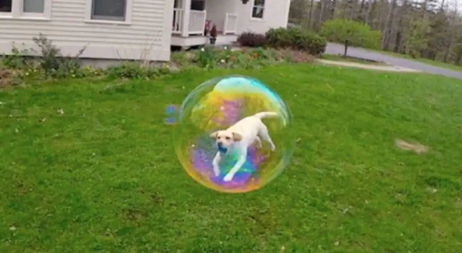 لحظاتی که به لطف عکاسی، برای همیشه ثبت می‌شوند