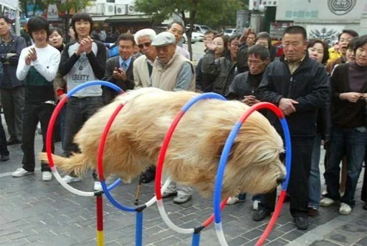 لحظاتی که به لطف عکاسی، برای همیشه ثبت می‌شوند