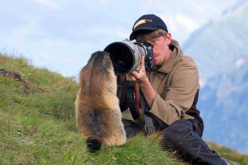 عکاسی حیوانات