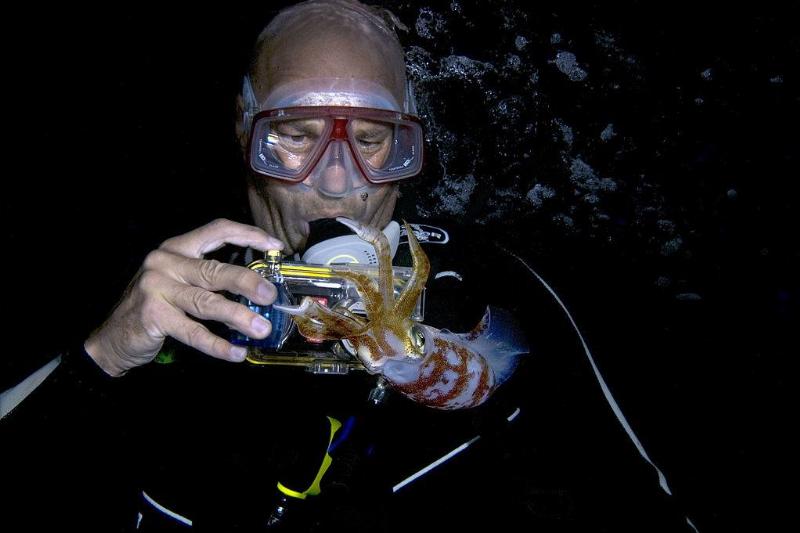 عکاسی حیوانات