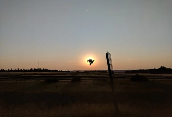 لحظاتی که به لطف عکاسی، برای همیشه ثبت می‌شوند