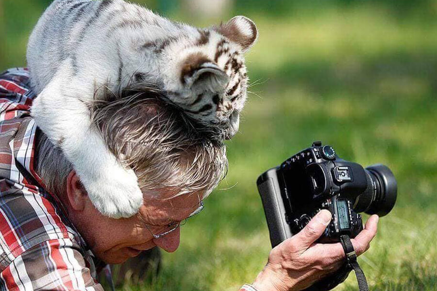 عکاسی حیوانات
