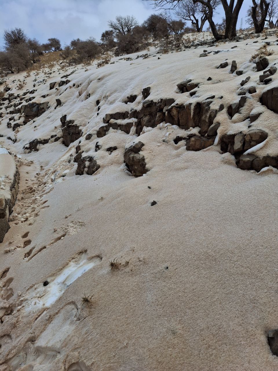 برف